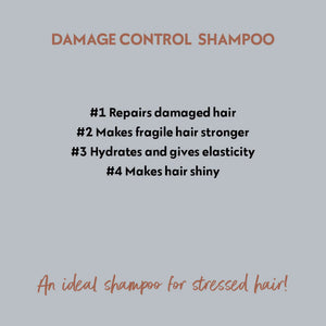 Damage Control Shampoo